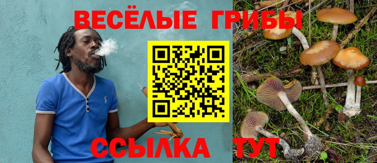 Галлюциногенные грибы Psilocybe Пыть-Ях